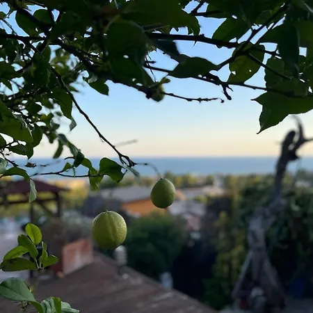 Bella * Castelldefels